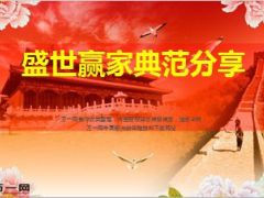 新华盛世赢家保险典范分享14页.ppt