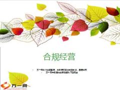 银行保险合规经营34页.ppt