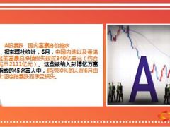 A股暴跌致国内富豪身价巨幅缩水13页.ppt