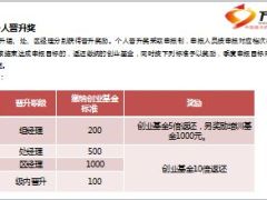 2015个险渠道主管培育方案11页.ppt