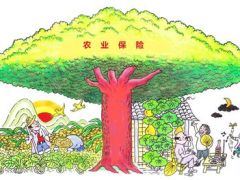 保险漫画一二三等奖作品18幅.rar
