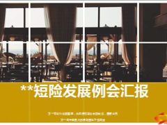 上半年短险发展进度举措总结下半年举措提升空间12页.ppt