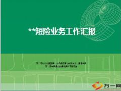 团险短险半年业务工作汇报发展主要举措15页.ppt