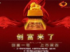 阳光人寿创富一号项目篇产品篇45页.ppt