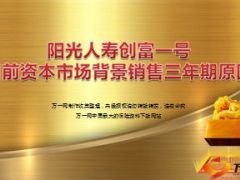 阳光人寿创富一号目前资本市场背景销售三年期原因16页.ppt