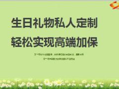 分享生日礼物私人定制轻松实现高端加保34页.ppt