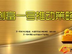 新产品上市推动策略包含上海及澳大利亚旅游方案45页.ppt