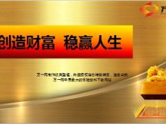 2015年理财产说会课件阳光创富一号61页.ppt