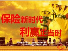 太保寿险利赢年年销售篇41页.ppt