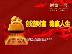 中高端版理财产说会阳光创富一号65页.ppt