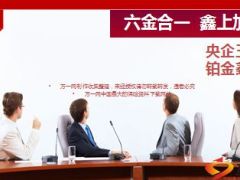 国寿鑫如意铂金背景亮点形态目标市场58页.ppt