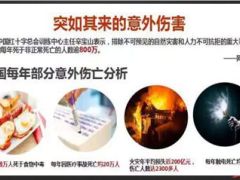 国寿安心保私家车主保险10页.ppt
