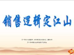 销售理念逻辑保险感悟31页.ppt