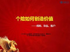 个险如何创造价值机构队伍客户32页.ppt