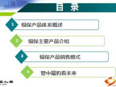 中国人寿银行保险产品与销售67页.ppt
