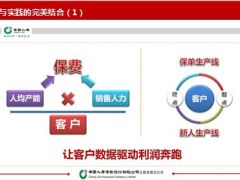 支公司分享客户经营常态化是提升竞争力的关键46页.ppt