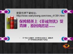 保险精英年薪7位数上非诚勿扰受青睐6页.ppt