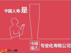 中国人寿2015版公司介绍线条勾勒带音乐自动播放15页.ppt
