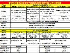 营业区经营标准化作业手册百区试点推动专项支持评分明细表.xls
