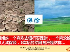 两姐妹一个喜欢去银行买理财一个喜欢给家人买保险11页.ppt