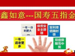 国寿铂金鑫如意五指金讲产品9页.ppt
