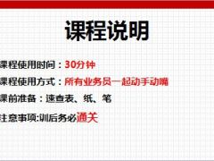 国寿铂金鑫如意小人图讲产品11页.ppt