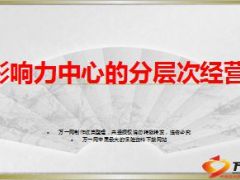 分享影响力中心的分层次经营含备注20页.ppt
