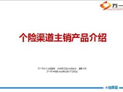 中国人寿个险渠道主销产品介绍52页.ppt