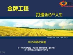 面向优质白板金牌工程培训参训宣导17页.ppt