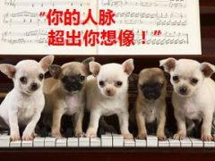 六度人脉圈15页.ppt