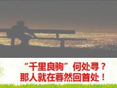 新政代资考试升级带来蜕变机遇24页.ppt