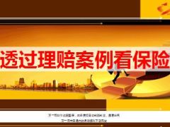 透过理赔案例看保险29页.ppt