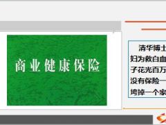 清华博士夫妇为救白血病儿子花光百万积蓄11页.ppt
