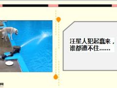 每日快乐早会15年7月27日使用15页.ppt