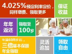 阳光人寿金喜连连产品介绍37页.ppt