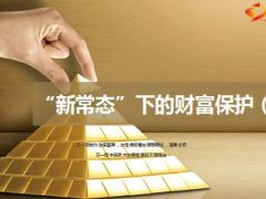 保险经济新常态下的财富保护下41页.ppt