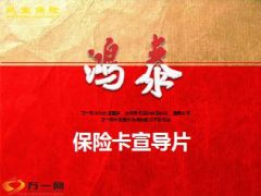 民生鸿泰保险卡宣导片28页.ppt