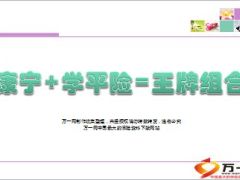国寿王牌组合康宁加学平险学习宣导35页.ppt