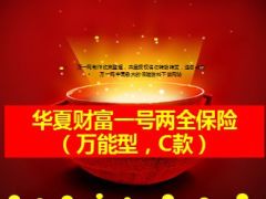 华夏财富一号万能保险C款介绍形态7页.ppt