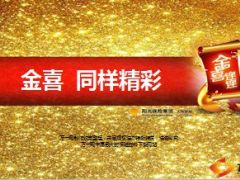 阳光人寿金喜连连保险产品特色25页.ppt