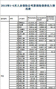 2015年上半年人身保险公司保费收入排名表.xls