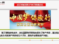 武汉老板豪掷2700万买保险18页.ppt
