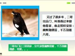 每日快乐早会15年7月30日使用15页.ppt