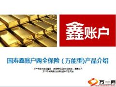 国寿鑫账户两全保险万能型产品介绍营销员版15页.ppt