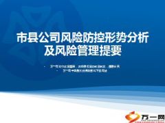 市县公司风险防控形势分析及风险管理提要44页.ppt