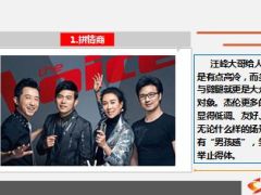 中国好声音强势来袭从保险看到底谁才是人生导师14页.ppt