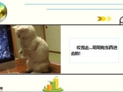 每日快乐早会15年7月31日使用15页.ppt