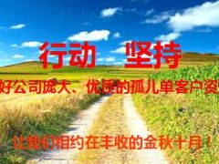 优质孤儿单客户经营开发项目宣导38页.ppt