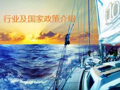 保险政策行业及阳光集团公司介绍43页.ppt