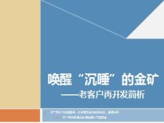 唤醒沉睡的金矿老客户再开发简析22页.ppt